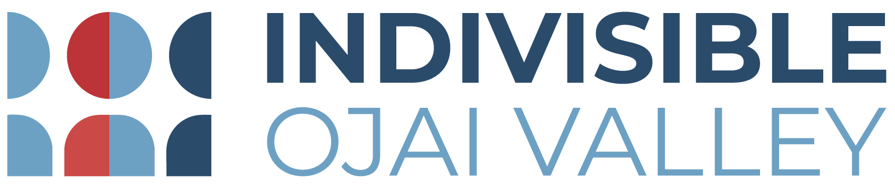 IOV Logo